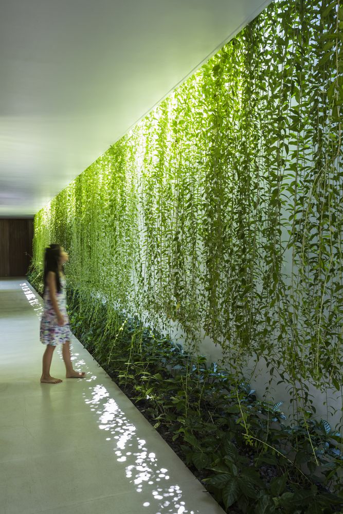 Restaurant Vertical Garden Bangalore